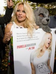 Pamela Anderson was at the Ontario legislature on Friday, October 23, the day after the official provincial deficit update, for some reason or another. Several commentators reported that she has longer hair than Dwight Duncan – or even Tim Hudak and Andrea Horwath. AP Photo/The Canadian Press, Frank Gunn.