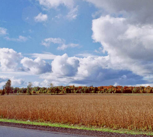 EO Farmer’s field in Eastern Ontario – one part of the heartland of the old Tory dynasty that dominated Ontario politics, 1943—1985, and may not be too sure just where it’s going right now?