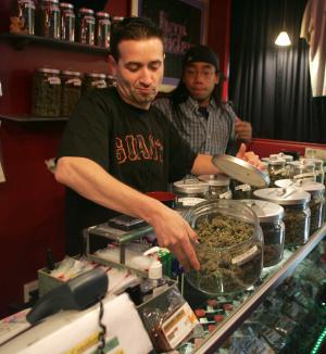 Sativa Steve’s apparently quite legal medical marijuana store in San Francisco : what is it Marc Emery’s going to jail for again?